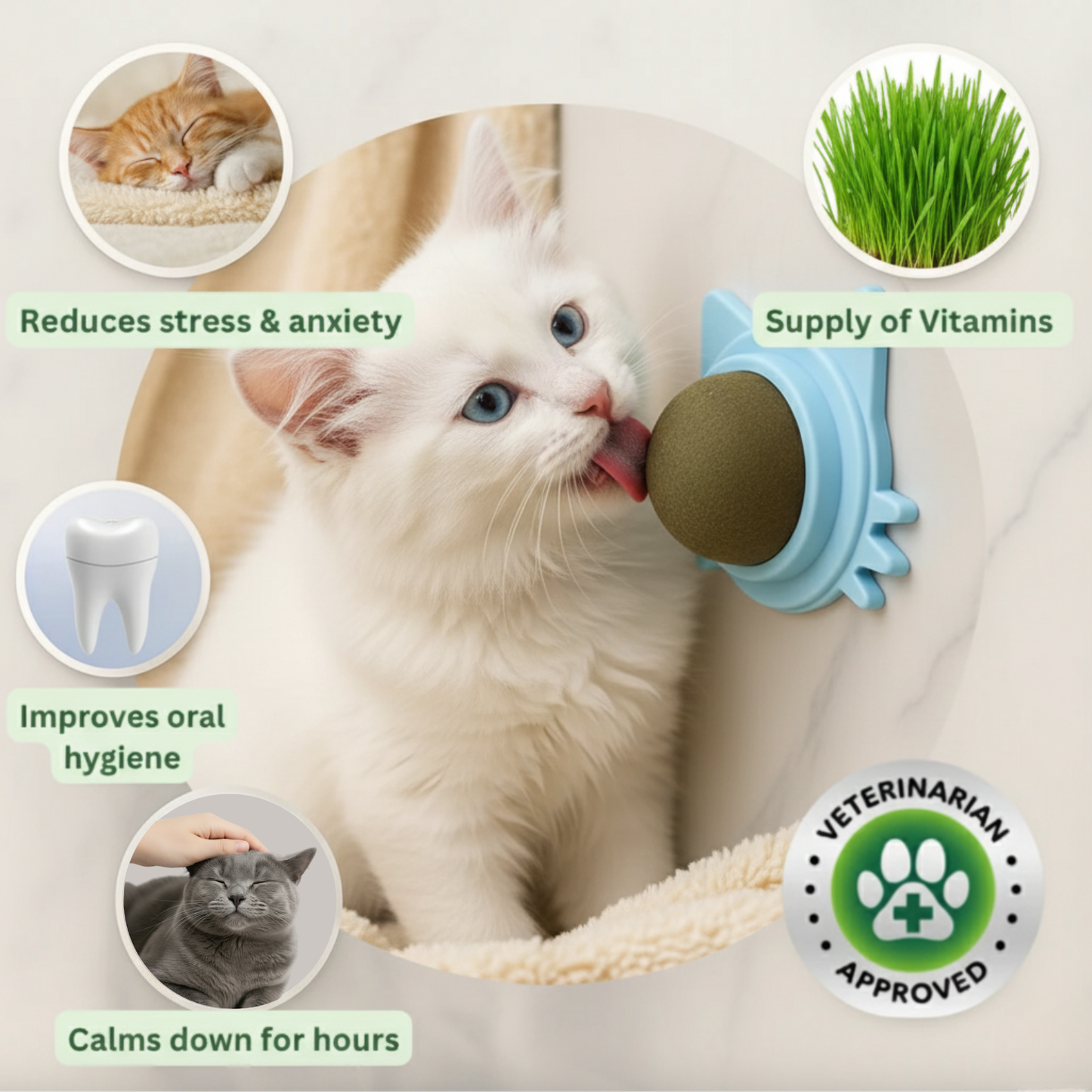 Kitty Therapy Ball