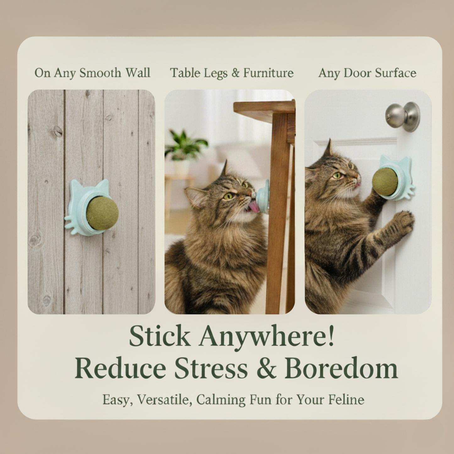 Kitty Therapy Ball