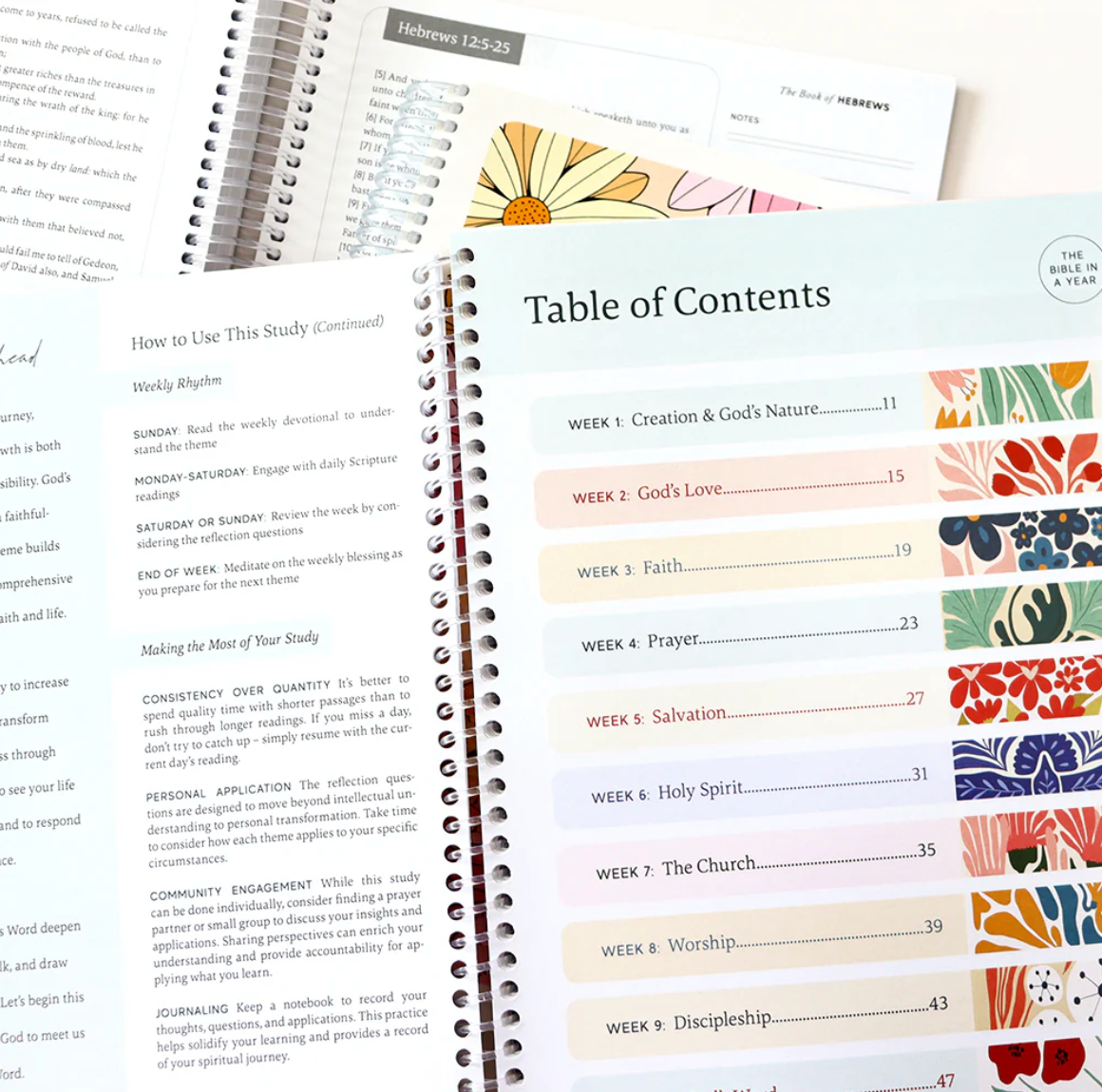 Study Bible - 52 week Journey
