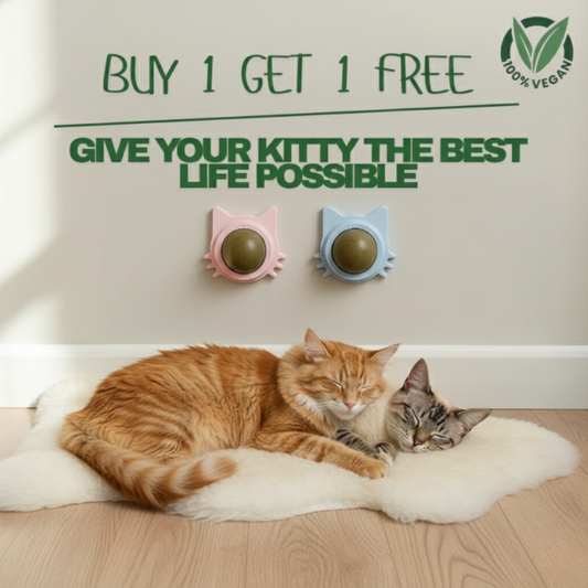 Kitty Therapy Ball
