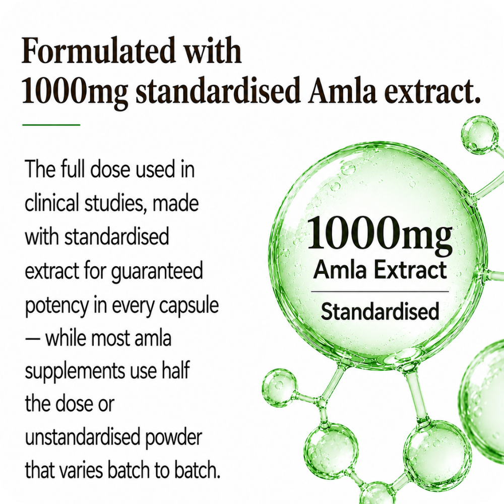 amla superfruit extract