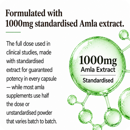 amla superfruit extract