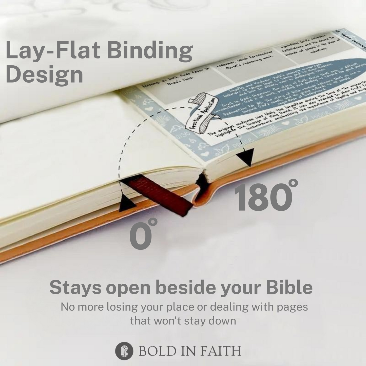66-Page Bible Study Guide