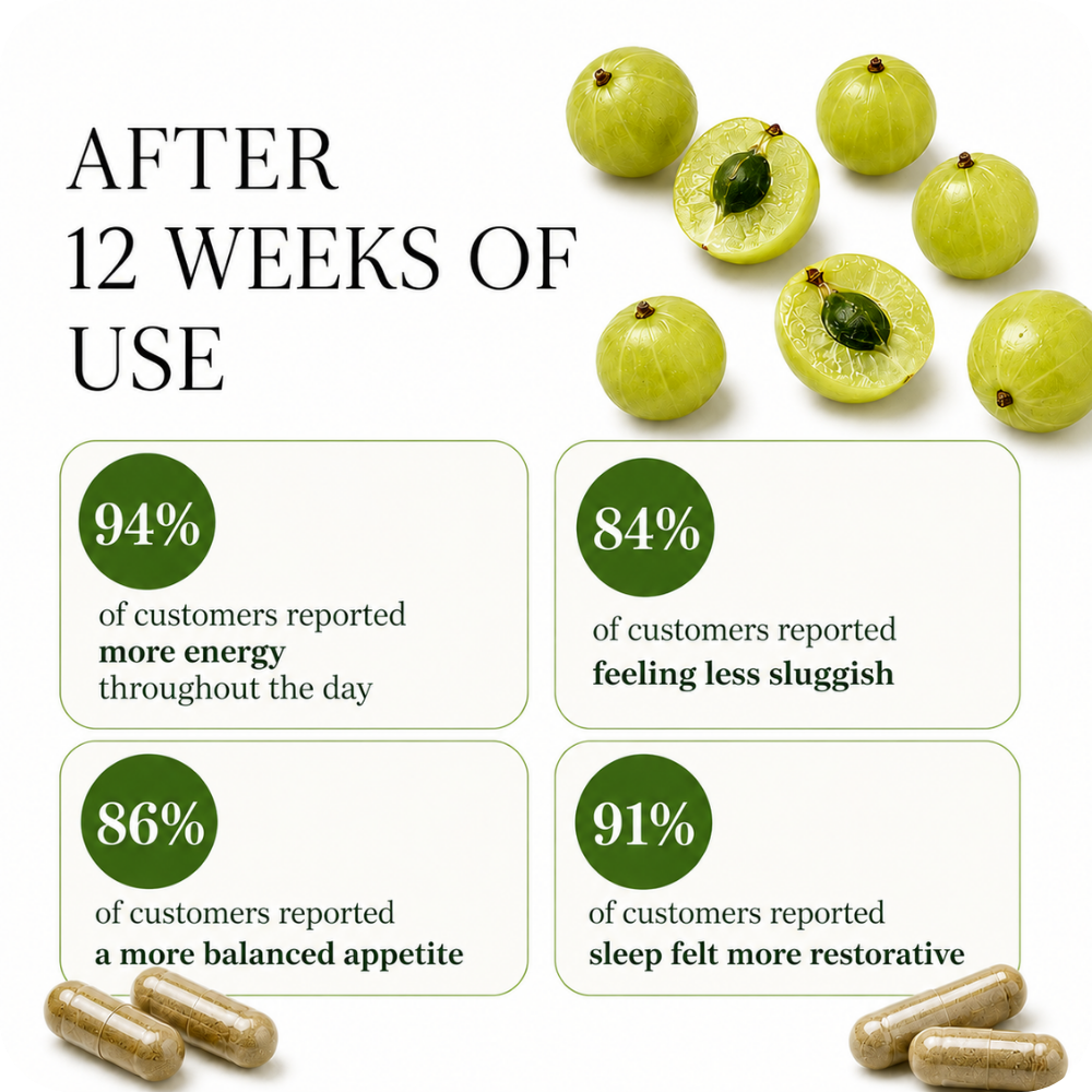 amla superfruit extract