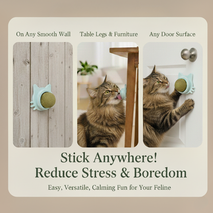 Kitty Therapy Ball