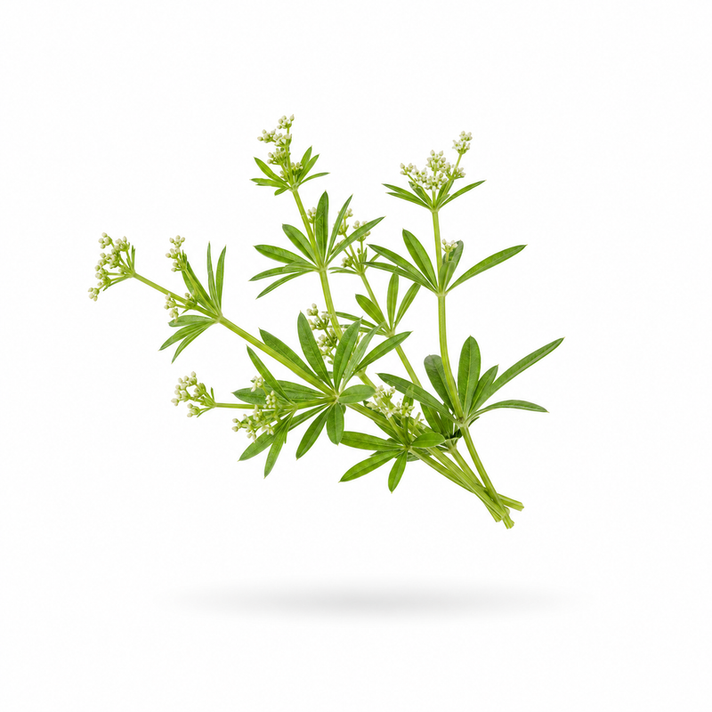 Cleavers