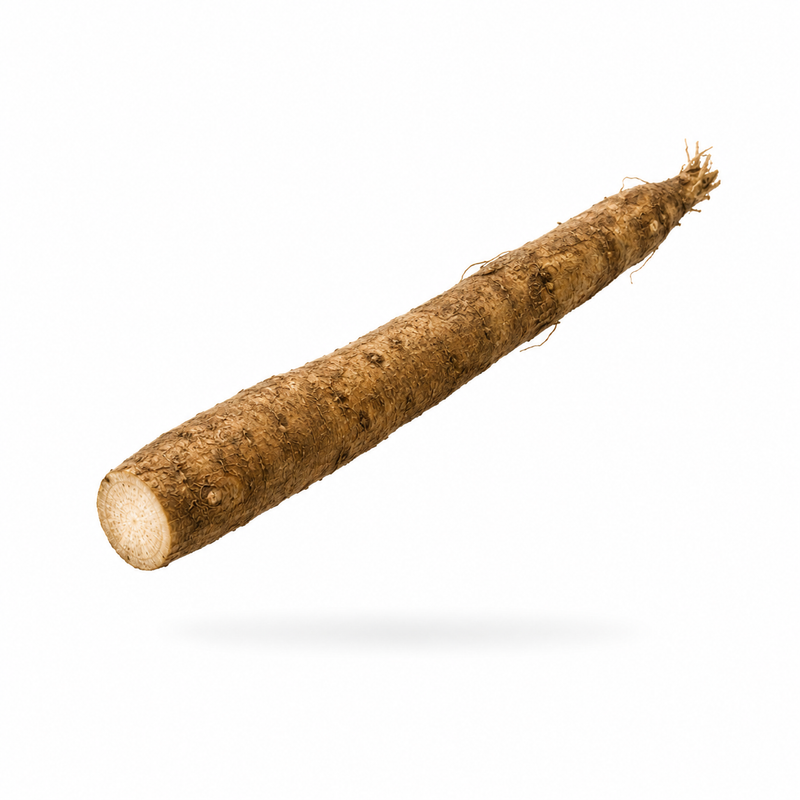 Burdock Root