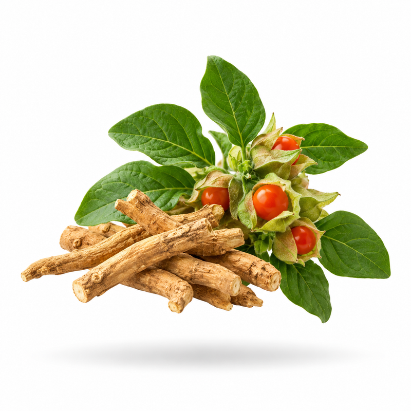 Ashwagandha Extract